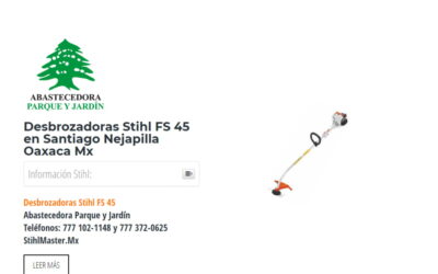 Desbrozadoras Stihl FS 45 en Santiago Nejapilla Oaxaca Mx