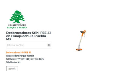Desbrozadoras Stihl FSE 41 en Huaquechula Puebla MX