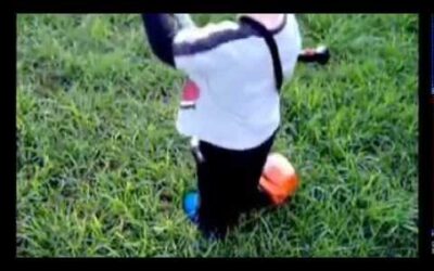 Blog 11 Desbrozadora de juguete STIHL – Urbaplant