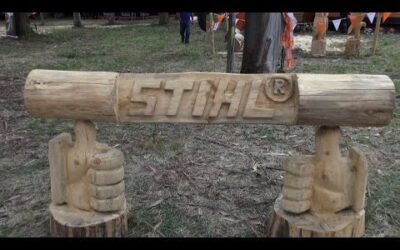 EXHIBICION DE CORTE CON MOTOSIERRA STIHL, SESIÓN COMPLETA. – VÍDEOS JEVIBE
