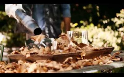 Sopladora STIHL BGA 56 #STIHLConquista el reto