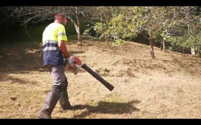Stihl Bg 86 soplador, triturador de hojas.