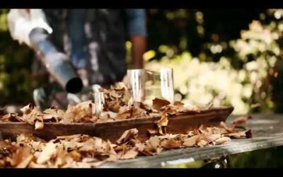 STIHL BG 56 SOPLADOR A BATERIA