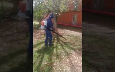 SOPLADOR STIHL MÁXIMA POTENCIA