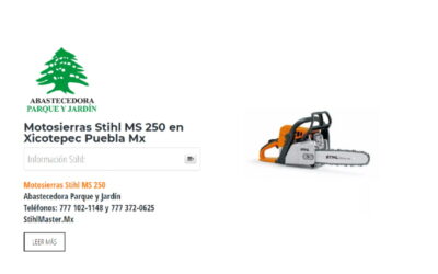 Motosierras Stihl MS 250 en Xicotepec Puebla Mx