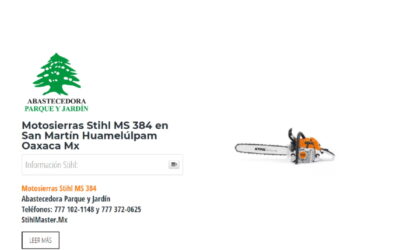 Motosierras Stihl MS 384 en San Martín Huamelúlpam Oaxaca Mx