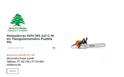 Motosierras Stihl MS 441 C-M en Tianguismanalco Puebla Mx