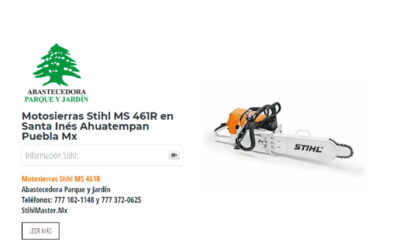 Motosierras Stihl MS 461R en Santa Inés Ahuatempan Puebla Mx