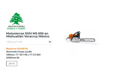 Motosierras Stihl MS 650 en Miahuatlán Veracruz México