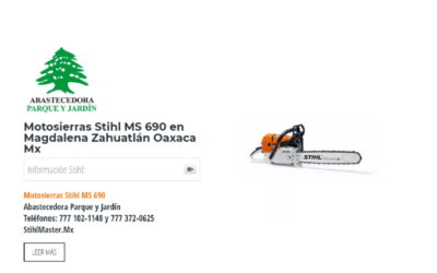 Motosierras Stihl MS 690 en Magdalena Zahuatlán Oaxaca Mx