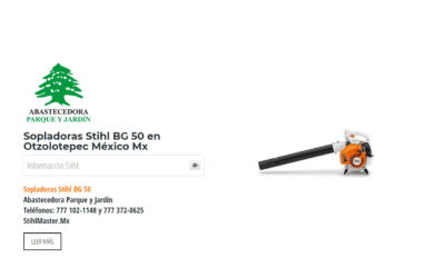 Sopladoras Stihl BG 50 en Otzolotepec México Mx