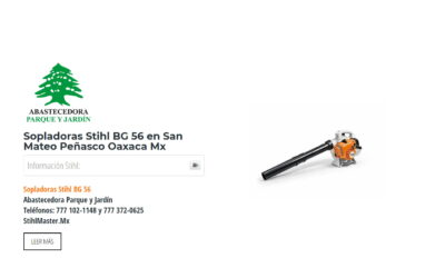 Sopladoras Stihl BG 56 en San Mateo Peñasco Oaxaca Mx