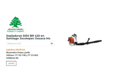 Sopladoras Stihl BR 420 en Santiago Jocotepec Oaxaca Mx