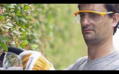 Equipos STIHL Eléctricos