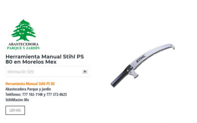 Herramienta Manual Stihl PS 80 en Morelos Mex