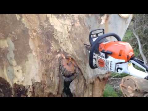 stihl.jpg Stihl