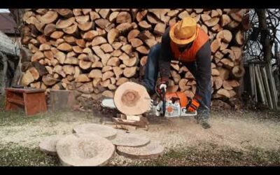 STIHL  chainsaws  MS  231, 2,7 hp and Ms 661 C 7,3 hp.