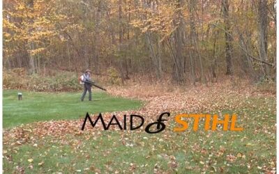 STIHL BR600 Backpack Leaf Blower