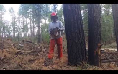 Stihl MS 660 ported big bore 99cc