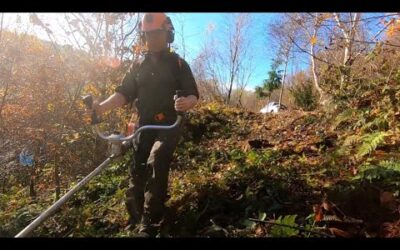 CLEARING IN AUTUMN WITH THE STIHL 460