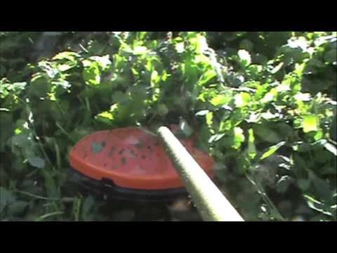stihl-brush-blade-cutting-tall-grass.jpg Stihl Brush Blade Cutting Tall Grass