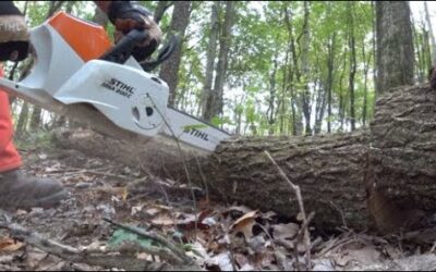 #251 Testing Battery Powered STIHL MSA 200 Chainsaw