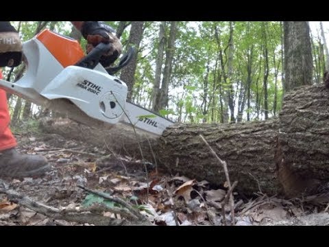 #251 Testing Battery Powered STIHL MSA 200 Chainsaw