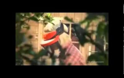 stihl attrezzature ad accumulatore.wmv