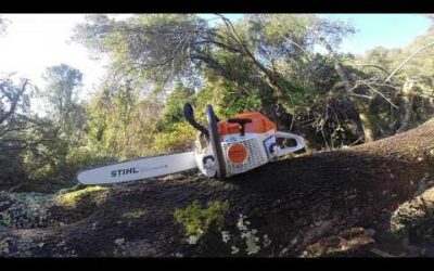 STIHL MS 261 C-M