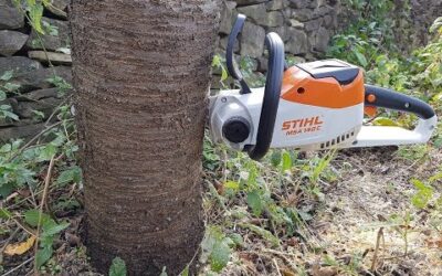STIHL Cordless MSA 140 C-BQ Chainsaw Cutting logs | TEST