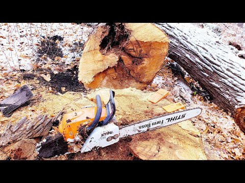 Stihl MS 290 Farm Boss VS. Stihl MS 271 Farm Boss In Action
