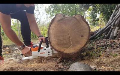STIHL MSA 140 C-BQ Chainsaws Cutting 47cm. Log