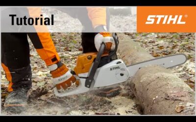 Cutting a trunk on the ground with a STIHL chainsaw