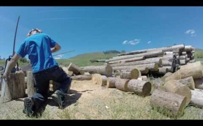 Dolmar 6100 vs Stihl ms362