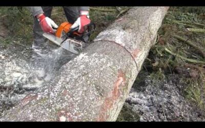 STIHL MS 260 | Slow Motion
