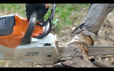 STIHL MSA 200 Cordless Chainsaw Review