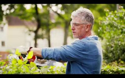 Cortacerco a batería STIHL HSA 45