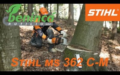 Motosega Stihl MS 362 C-M