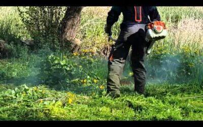Débroussailleuse stihl fs 410c rotofil