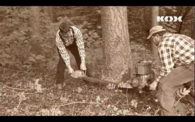 Tronçonneuse à deux hommes Stihl KS43