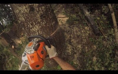 Ms 500i – La meilleure machine Stihl