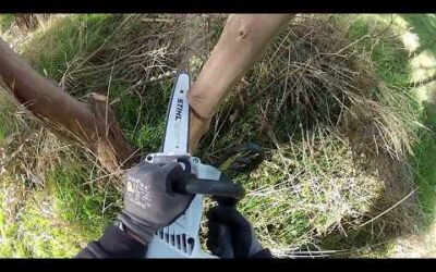 Stihl MSA 160 T review