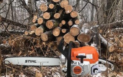 Stihl MS 391 review part 2
