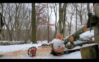 Stihl MS250