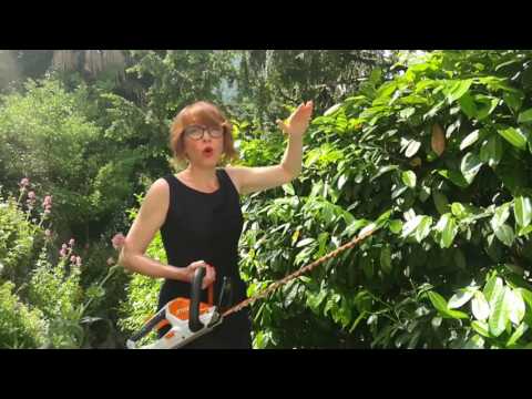 tagliasiepi stihl hsa45 recensione