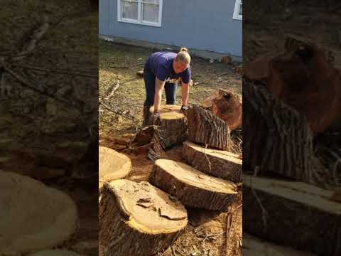 Lady uses a stihl ms251 an shows guys how to use it