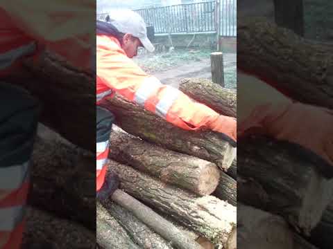 Chainsaw scheppach 2540:25 ccm+ stihl ms310:60ccm