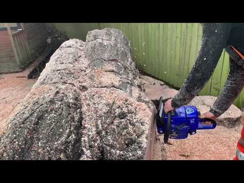 Farmertec g366 and Stihl Ms660 cutting big buttress