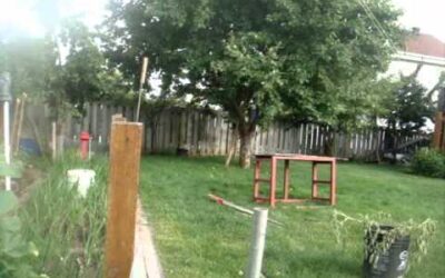 Lawnboy 10401C with STIHL FS-70 RCE and BG 55 In Action