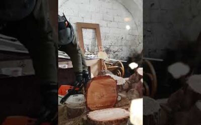 Stihl Ms 261 test